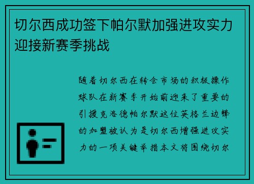 切尔西成功签下帕尔默加强进攻实力迎接新赛季挑战